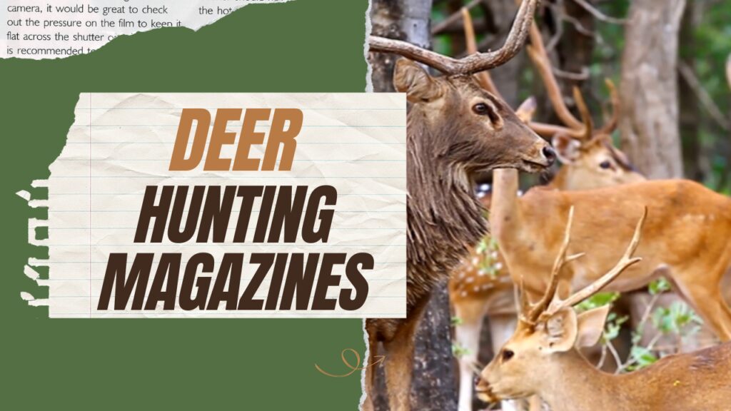 Best Deer Hunting Magazines To Subscribe To