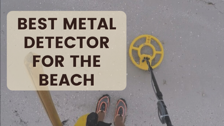 Best Metal Detector for the Beach