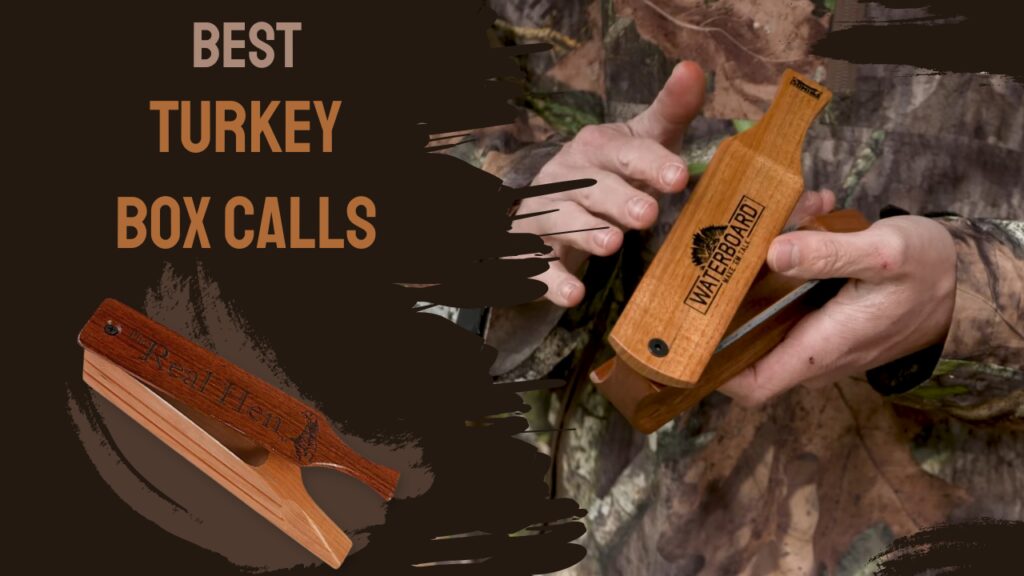 Best Turkey Box Calls - Review