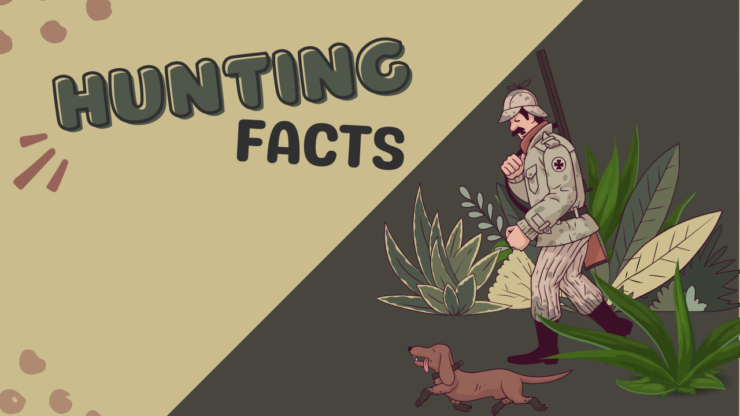 Interesting Hunting Facts You Should Know
