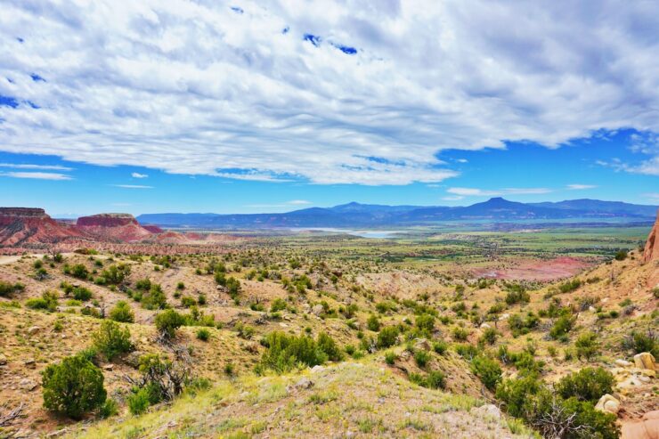 New Mexico Hunting