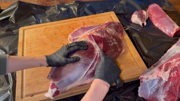 Hands separating the sirloin tip from a deer hind quarter by following the natural muscle seam along the femur