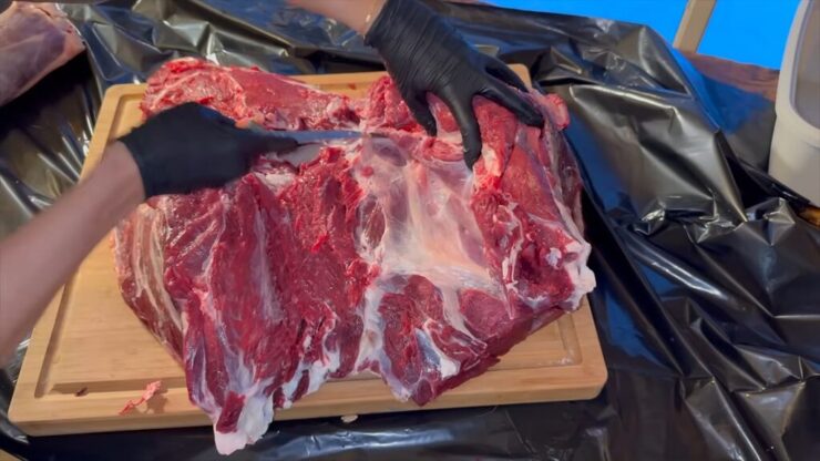 Deer top round muscle being removed from the hind quarter with a boning knife along a visible seam