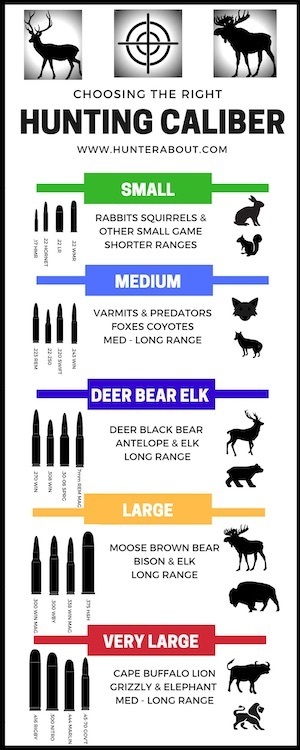 Hunting Caliber Infographic - Choosing Your Bullet Guide