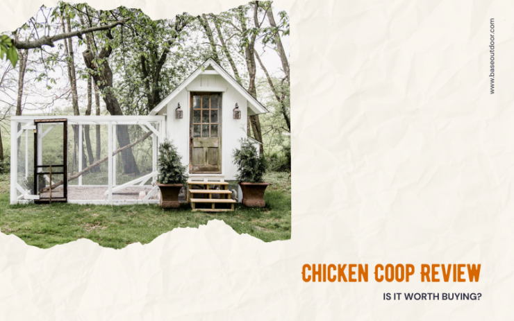 Chicken Coop DIY