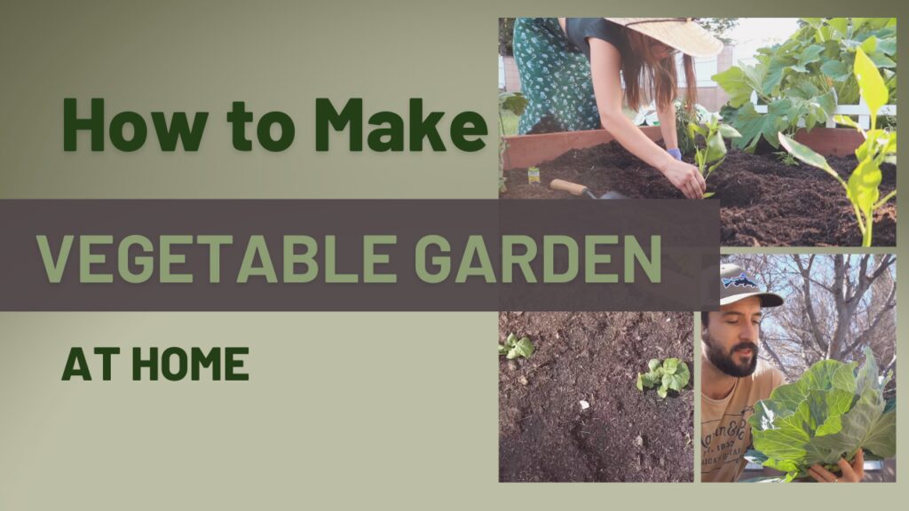 Make a Vegetable Garden at your own Home