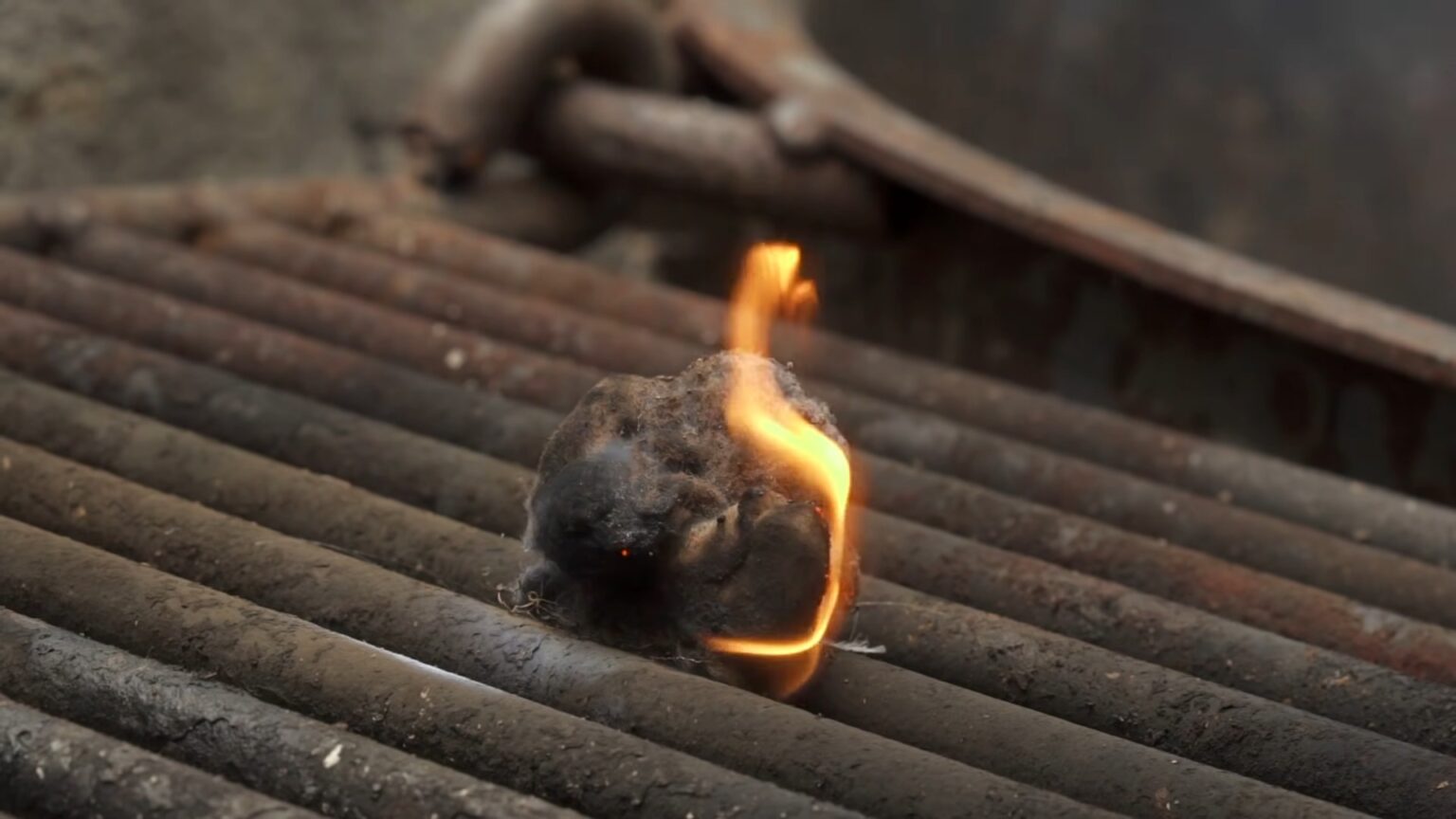 12 Best Wrought Iron Campfire Cooking Equipment For Safe & Exciting